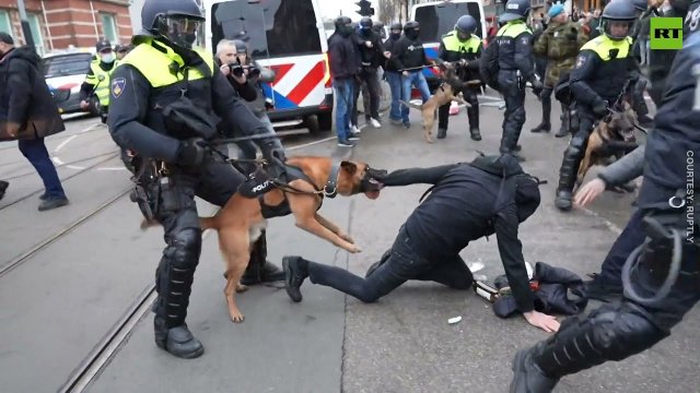 Policja pałuje Holendrów podczas strajku przeciwko COVID-19