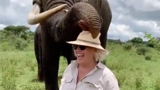 Słoń z poczuciem humoru