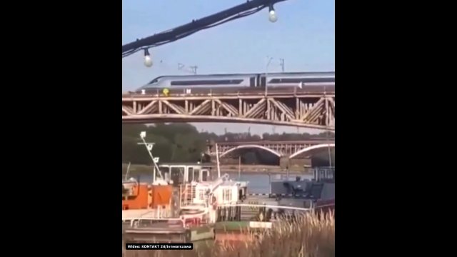 Łoś na warszawskim moście omal nie wpadł pod pociąg [WIDEO]