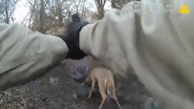 Ratowanie zwierzęcia z opałów