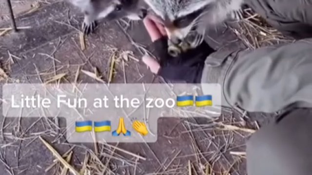 Ukraińscy żołnierze odwiedzają zoo i bawią się ze zwierzakami