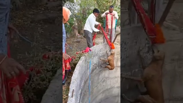 Mieszkańcy wioski pomogli uratować psa, który wpadł do głębokiej studni [WIDEO]