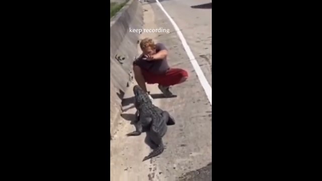 Facet pokazał jak (nie) okiełznać aligatora... [WIDEO]