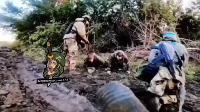 Żołnierze ukraińscy chwytają rosyjskiego żołnierza ukrywającego się w krzakach