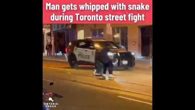 Doszło do bójki na ulicy. Mężczyzna jako broni użył... żywego węża