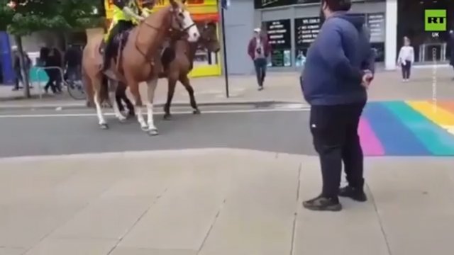 Policyjne konie spotkały na drodze flagę LGBT. Ich reakcja zaskakuje