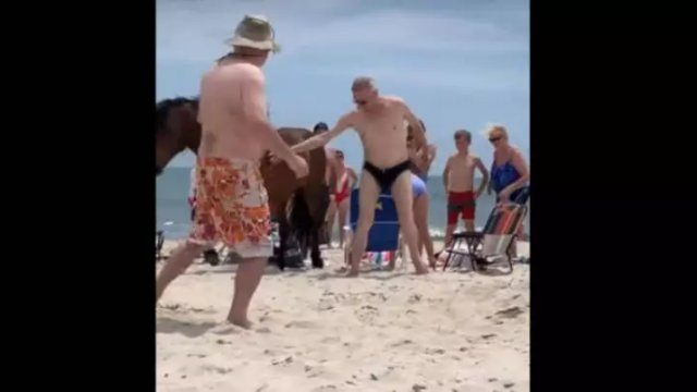 Pogłaskał dzikiego konia na plaży mimo zakazu. Już sekundę później bardzo tego żałował