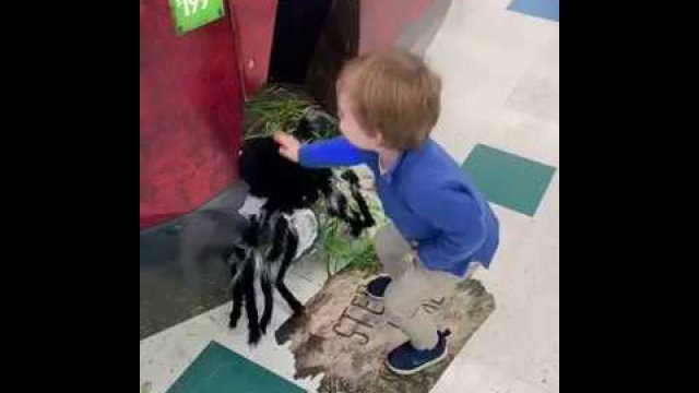 Mały chłopiec wyrównał rachunki z pająkiem po tym jak go wystraszył.