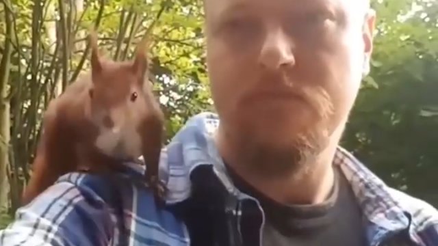 Facet uratował małą wiewiórkę, która spadła z dachu.