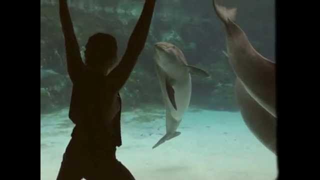 Dziewczyna doprowadziła delfina do uśmiechu [WIDEO]