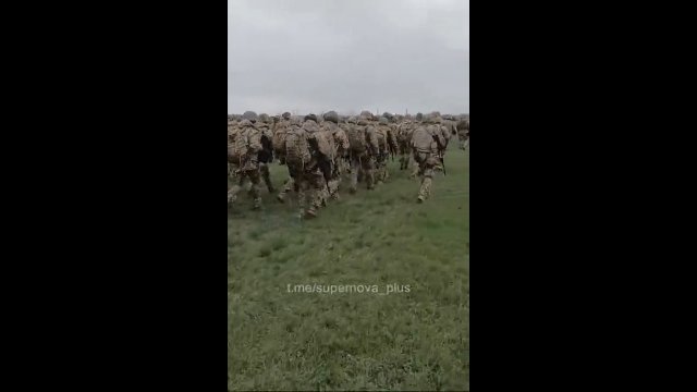 Ogromna grupa ukraińskich żołnierzy, gotowa do walki z wrogiem