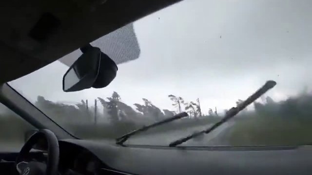 Drzewa spadają przed samochodem