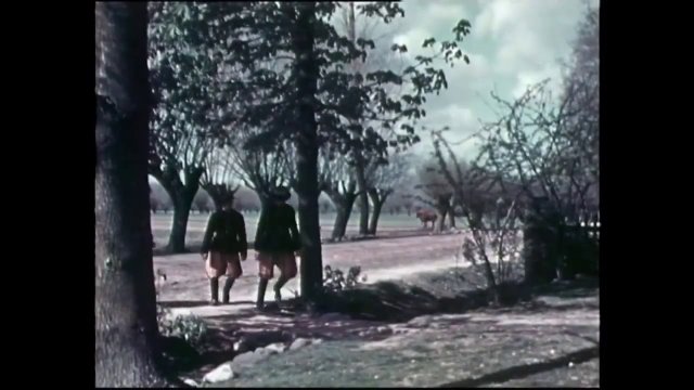 Wesele w księstwie łowickim (1937) - pierwszy polski film nagrany w kolorze