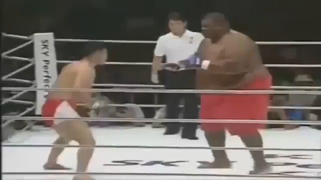 273 kg zawodnik sumo vs. 76 kg zawodnik MMA