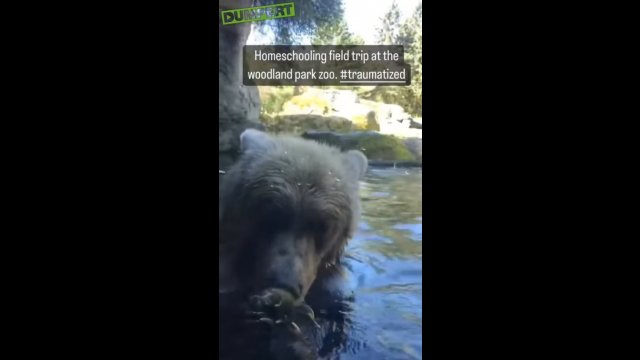 Niedźwiedź zjadł kaczkę na oczach dzieci będących na szkolnej wycieczce w zoo