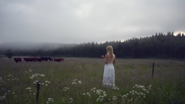 Szwedzka pasterka przywołuje stado krów piękną pieśnią [WIDEO]