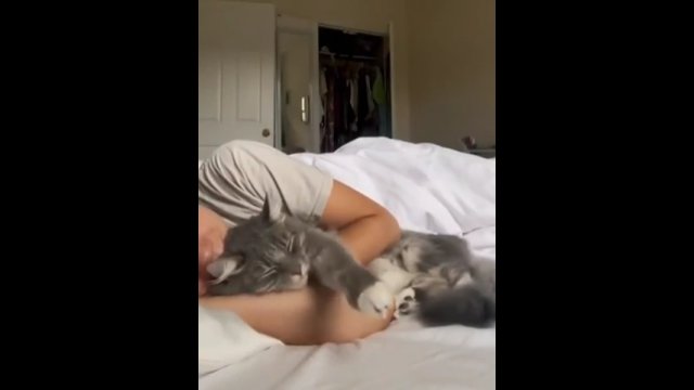 Najsłodszy śpioch na świecie! Kot zawsze przytula się do swojej właścicielki