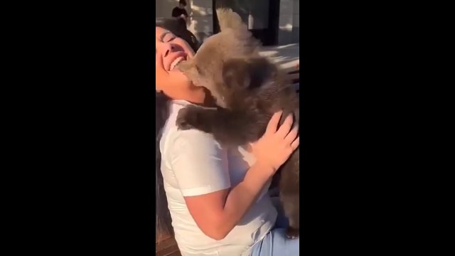Niedźwiadek ugryzł kobietę w usta