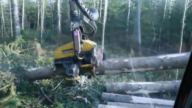Nowoczesne maszyny do pracy w lesie