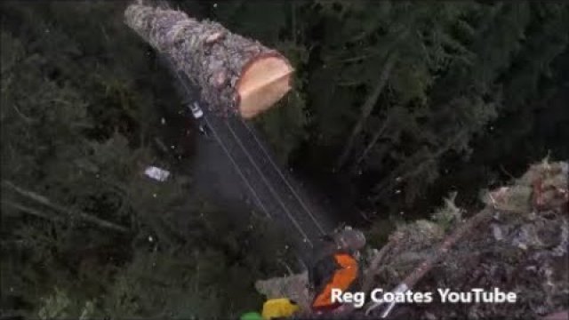 Ścinanie drzewa ponad 60 metrów nad ziemią.