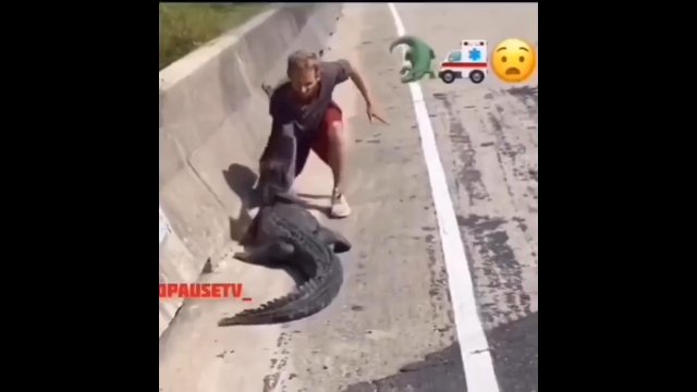 Zaklinacz aligatorów przecenił swoje umiejętności i prawie stracił rękę