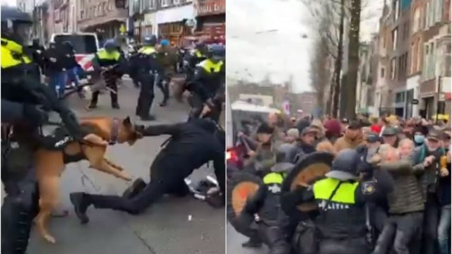 Wkurzeni Holendrzy wyszli na ulice. Ludzie bici pałkami, szarpani przez policje
