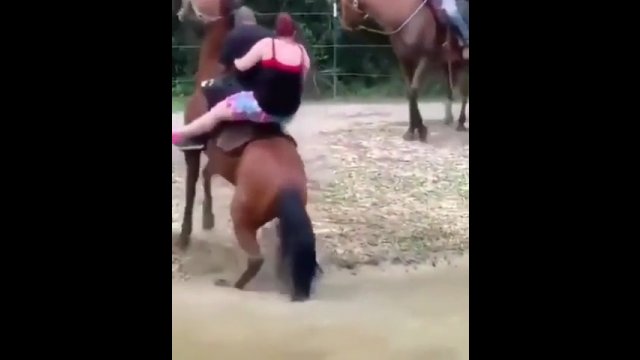 Koń też ma swoje ograniczenia