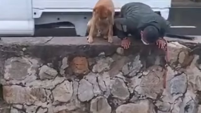 Niesamowita przyjaźń pomiędzy dwoma psiakami