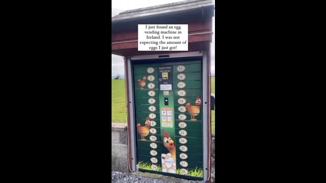 Nie uwierzysz, co można kupić w automatach w Irlandii