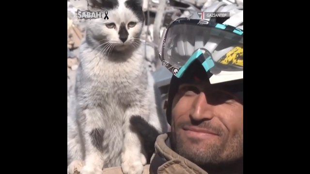Kot uratowany z zawalonego domu w Turcji. Nie opuszcza ratowników na krok