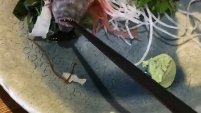 Ryba serwowana w japońskiej restauracji wgryza się w pałeczkę