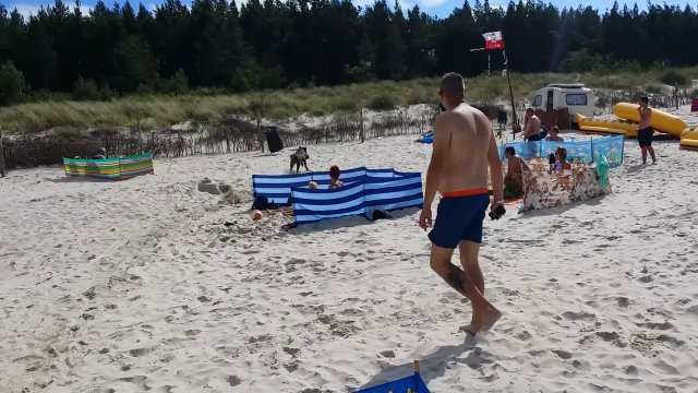 Dzik próbował rozprawić się z turystami odpoczywającymi na plaży