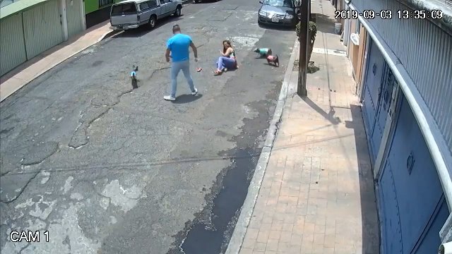 Kobieta spacerująca z psem została zaatakowana przez agresywnego faceta