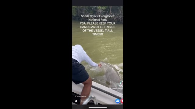 Koleś próbował pogłaskać rekina. To była totalna głupota!