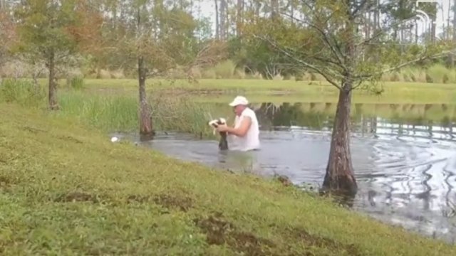 Gość wyciąga aligatora z wody, otwiera mu paszczę i ratuje swojego psa
