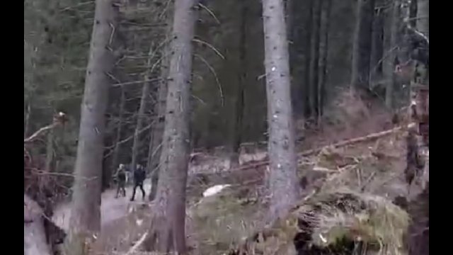 Niebezpiecznie w Tatrach! Drzewo spadło na szlak tuż obok turystów [WIDEO]