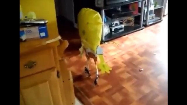 Balon w kształcie Spongeboba przyprawił mężczyznę o dreszcze