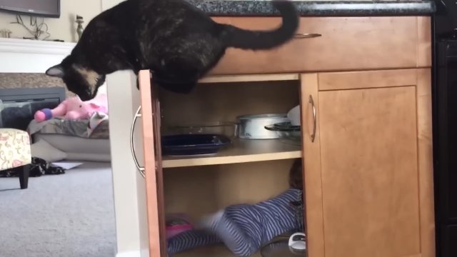 Kot zamknął dziecko w szafce [WIDEO]