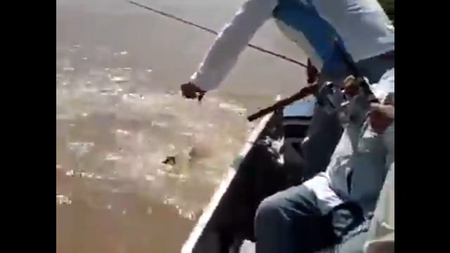 Rybak uderza aligatora, który stara się ukraść rybę