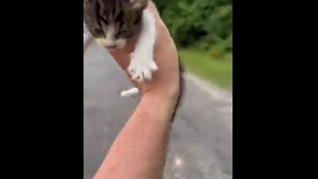 Facet znalazł malutkiego kota na ulicy. Chciał mu pomóc, ale stało się coś niespodziewanego