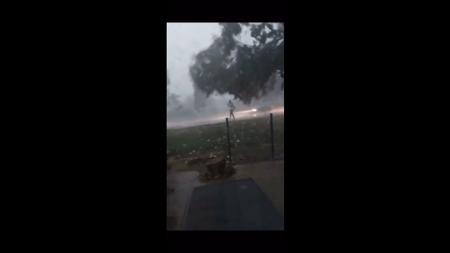 Koszmarna pogoda w Chorwacji. Drzewo przygniotło kobietę idącą chodnikiem
