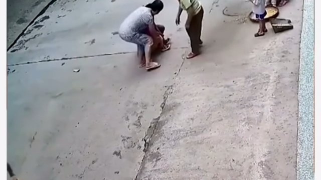 Pies ratuje dziecko przed innym psem