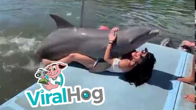Wyjątkowo radosny delfinek