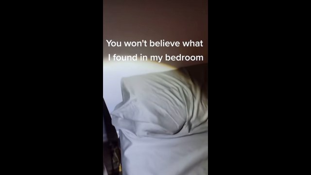 Nie mógł uwierzyć w to, co znalazł za swoim łóżkiem