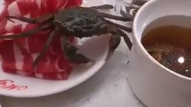 Krab uciekł ze stołu prosto do garnka