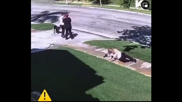 Kobieta nie była w stanie powstrzymać swojego psa. Trzykrotnie zaliczyła glebę