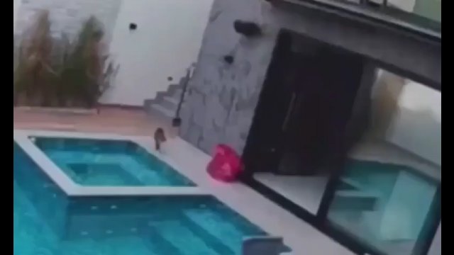 Kot przypadkowo zanurzył łapki w basenie. Od tego momentu zaczął się istny chaos