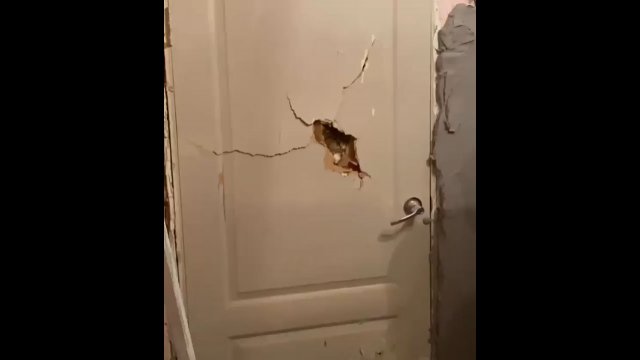 Każdy kot ma różne techniki do otwierania zamkniętych drzwi!