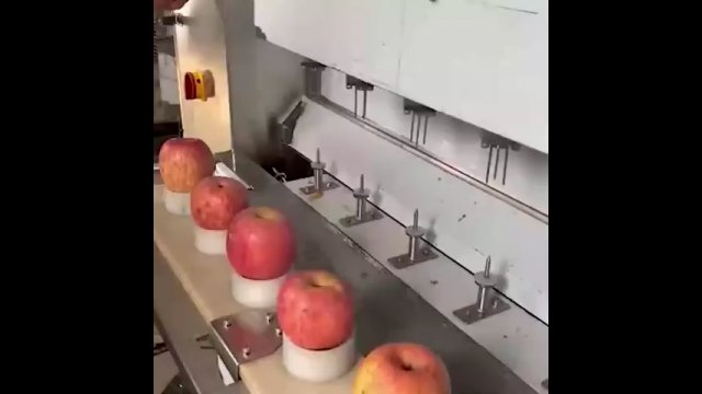 Zobacz, jak wygląda maszynowe obieranie i krojenie jabłek