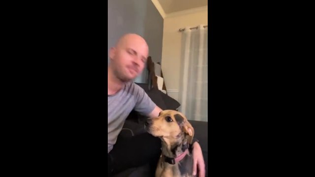 Pies woli dostawać buziaka od właściciela